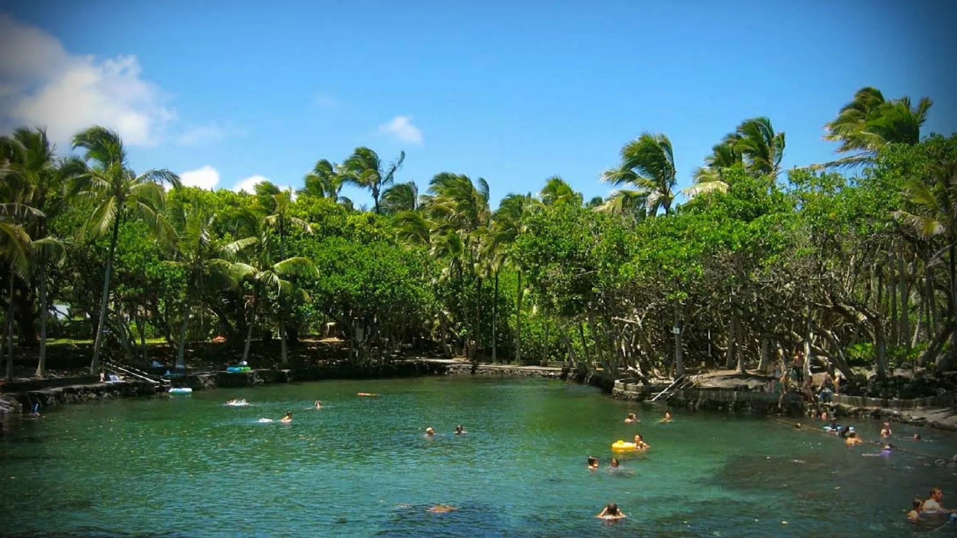 People swimming in a tropical lagoon surrounded by palm trees.
